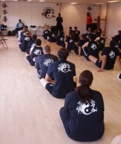 Seminar at Sifu Vidars school Oslo, Norway